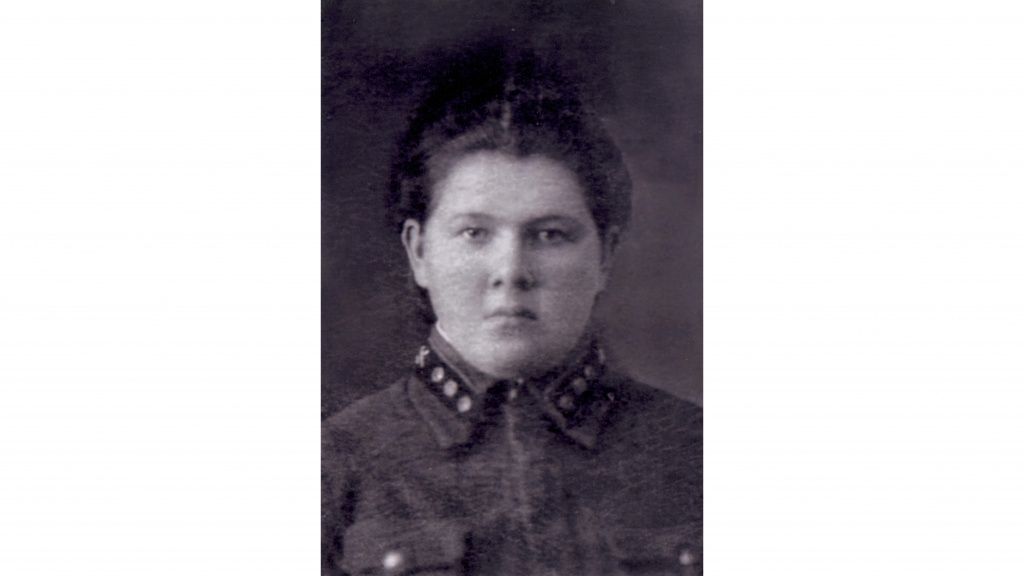 Волгины