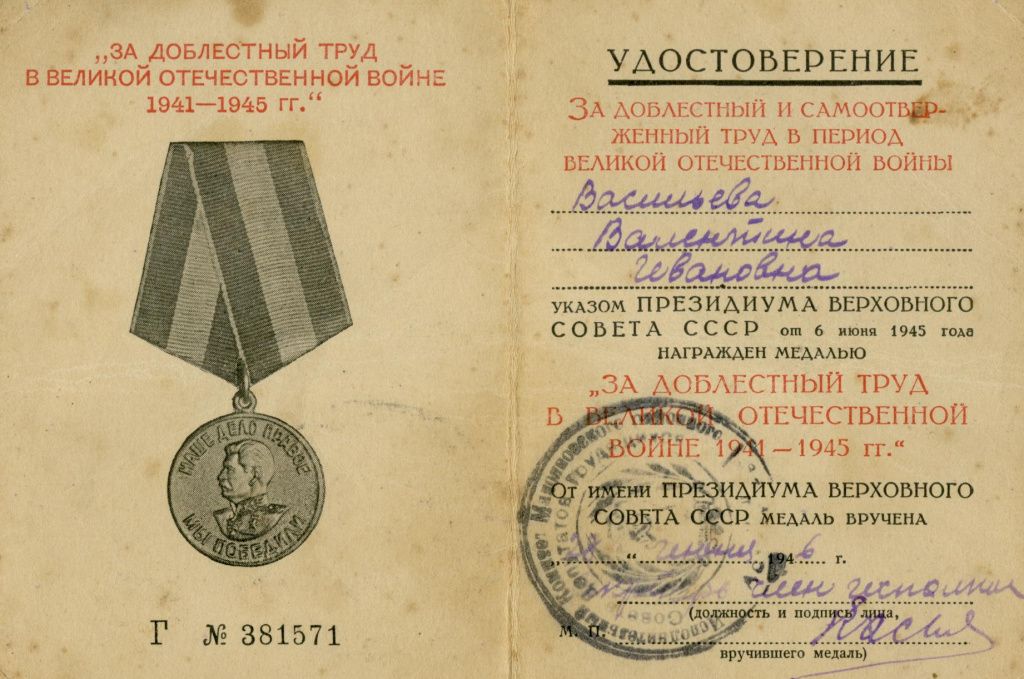 Васильевы