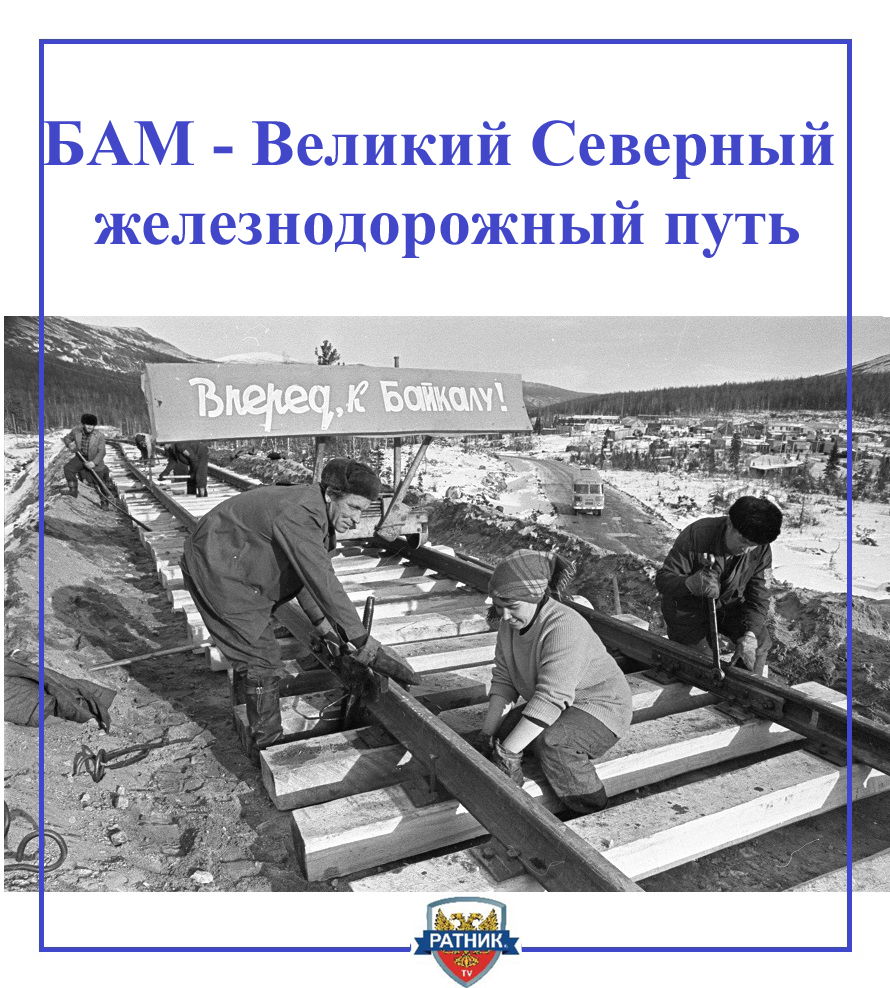 бам2.jpg