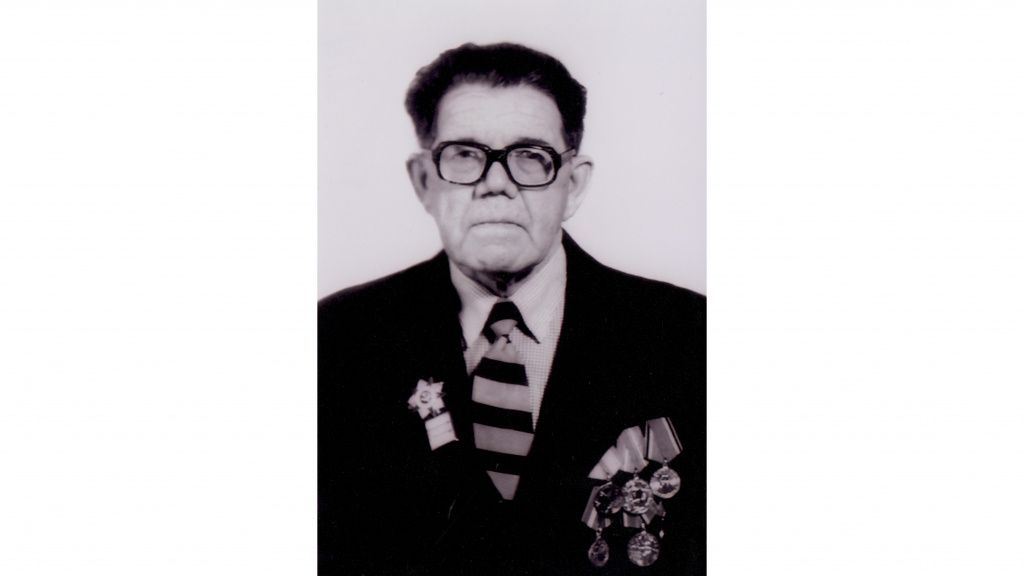 Волгины