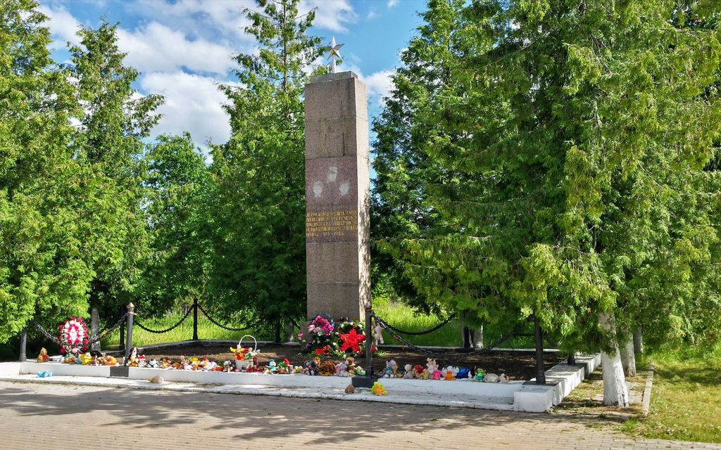 Анатолий Новосельцев