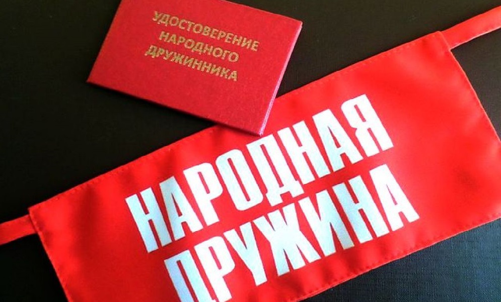 Народная дружина