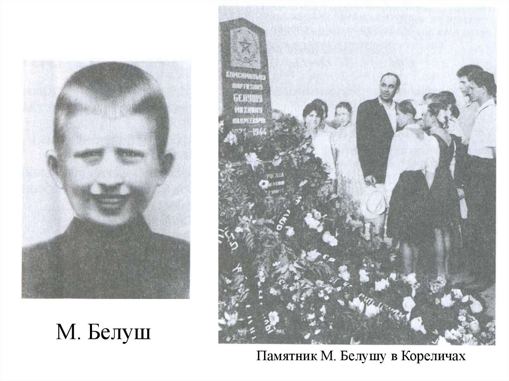 Миша Белуш
