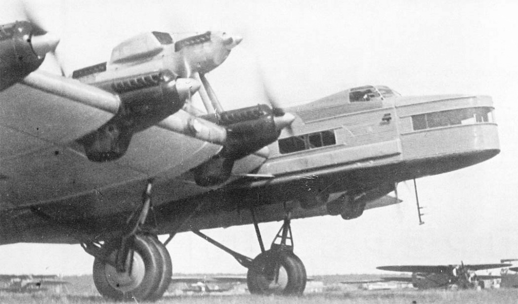 ant20-8.jpg