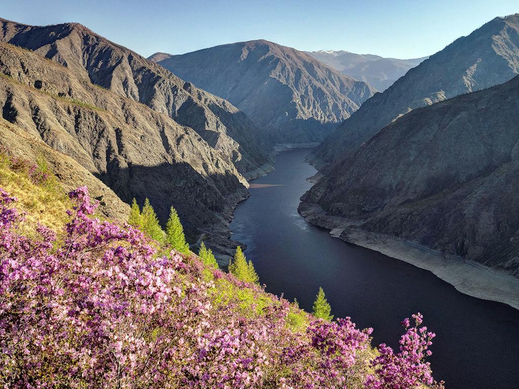 Реки России