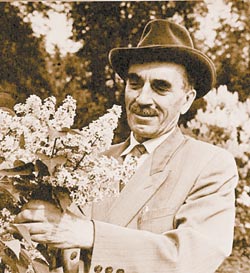 semenov_flowers.jpg