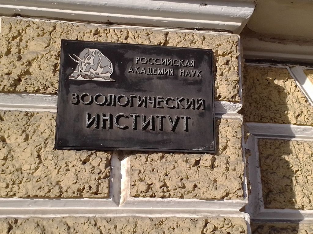 Зоологический институт РАН
