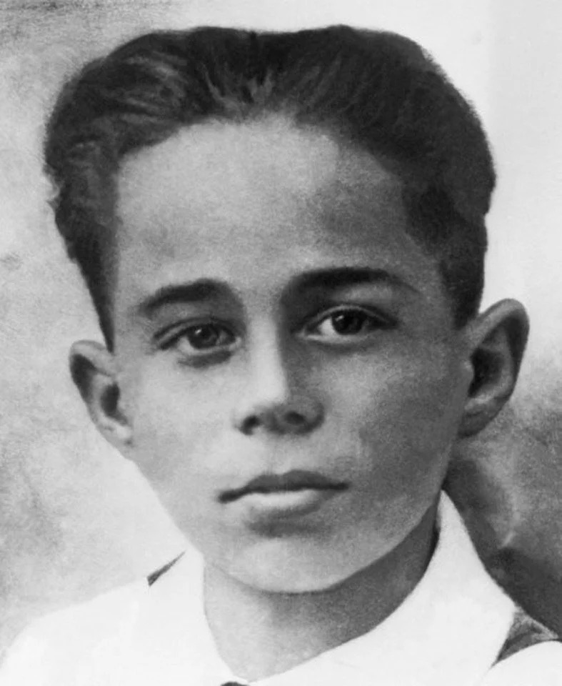 Дубинин Владимир – пионер-герой, защитник Крыма
