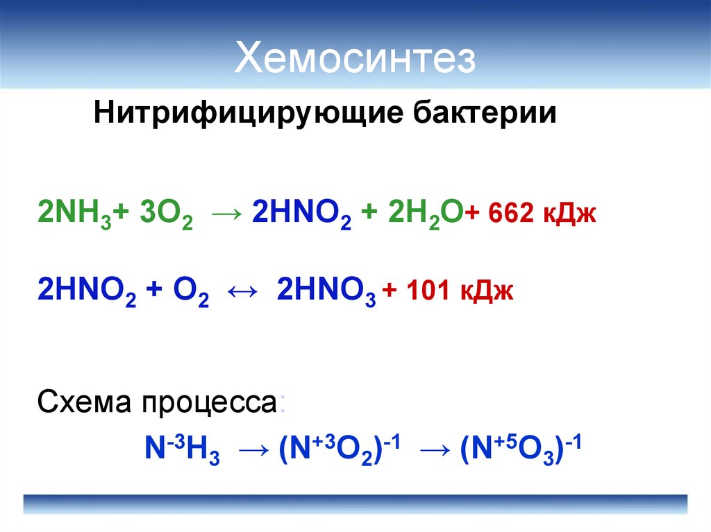 Сергей Виноградский