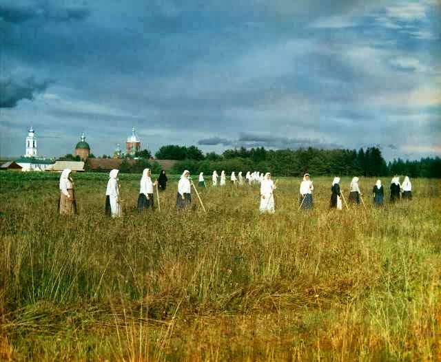 Молога