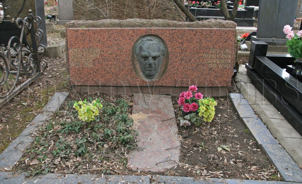 Константин Салищев