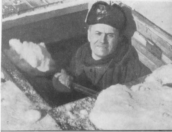 Алексей Трёшников
