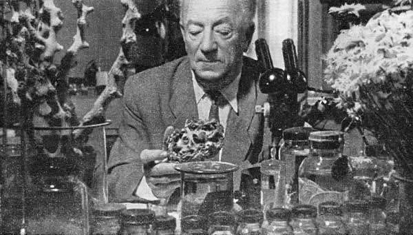 Лев Зенкевич