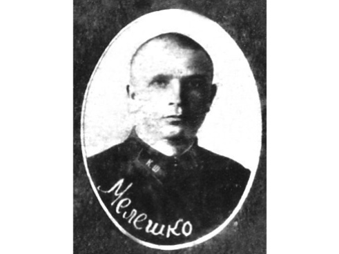 Василий Мелешко