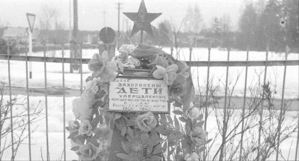 Анатолий Новосельцев
